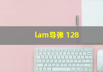 lam导弹 128